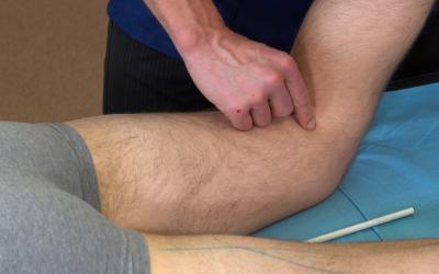 ANATOMIE PALPATOIRE MEMBRE INFERIEUR